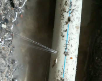 镇远卫生间测漏水多少钱