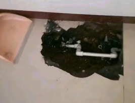 镇远卫生间测漏水多少钱